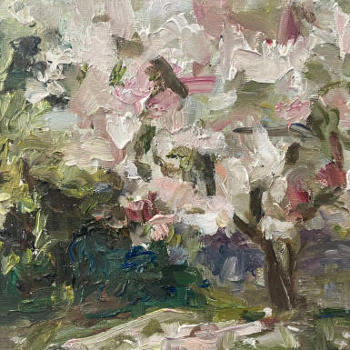 Magnolia Blossom1